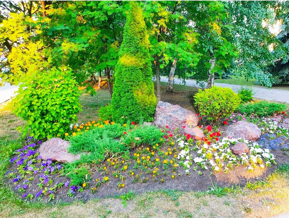 Какие цветы лучше сажать в городские клумбы?
