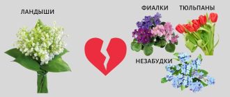 Какие цветы не любят органику?