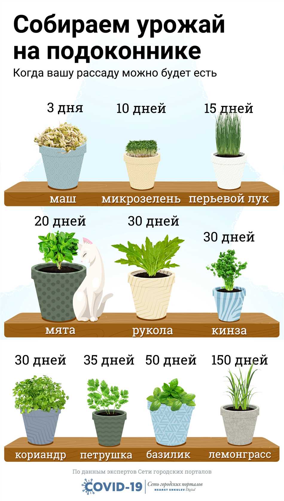 Орхидеи - красивые и экзотические растения для вашего дома