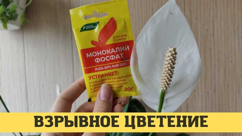 Заключение