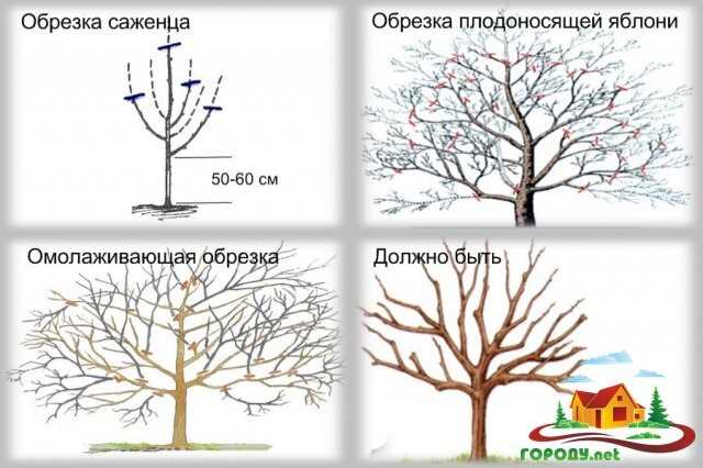 Раздел 1: Подготовка к обрезке