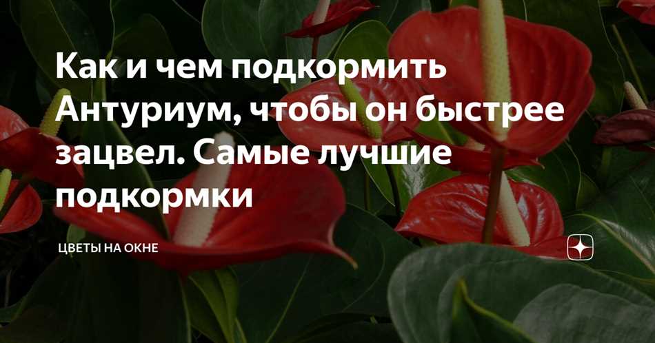 Важные компоненты в составе таблеток.