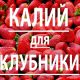 Лучшие калийные удобрения для клубники