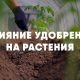 Какое влияние оказывает внесение удобрений в почву