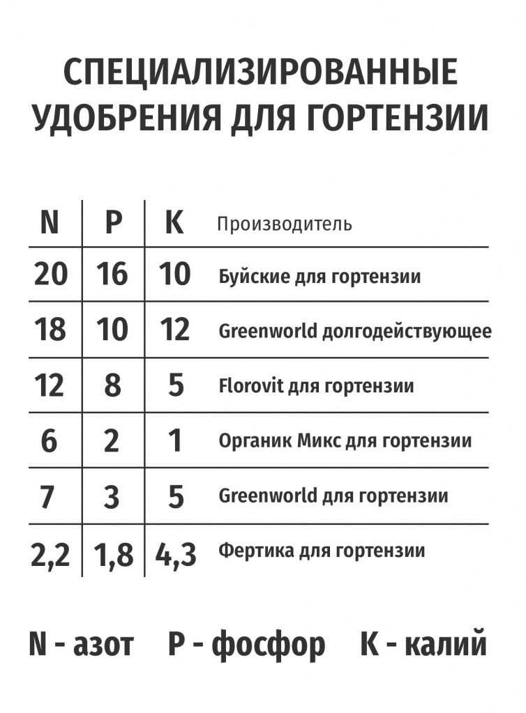Гортензия и влияние pH почвы