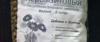 Какой слой земли подсыпать на песок для цветов: рекомендации