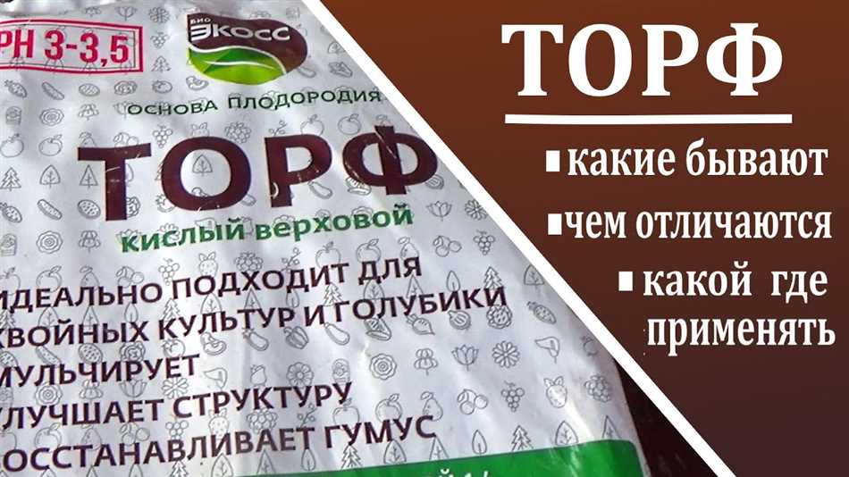 Какой торф лучше для фиалок: кислый или нейтральный?