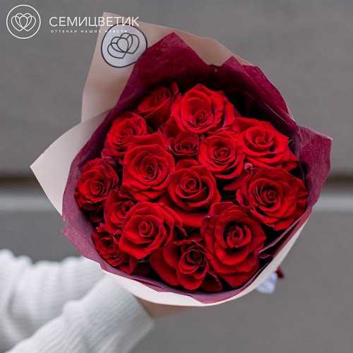 Цветы для извинения