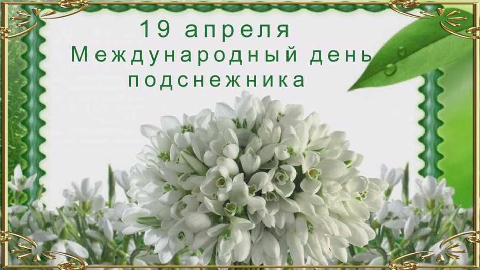 Цветок надежды в западной культуре