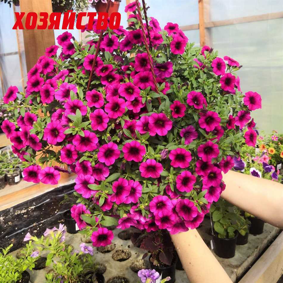 1. Знайте потребности растения