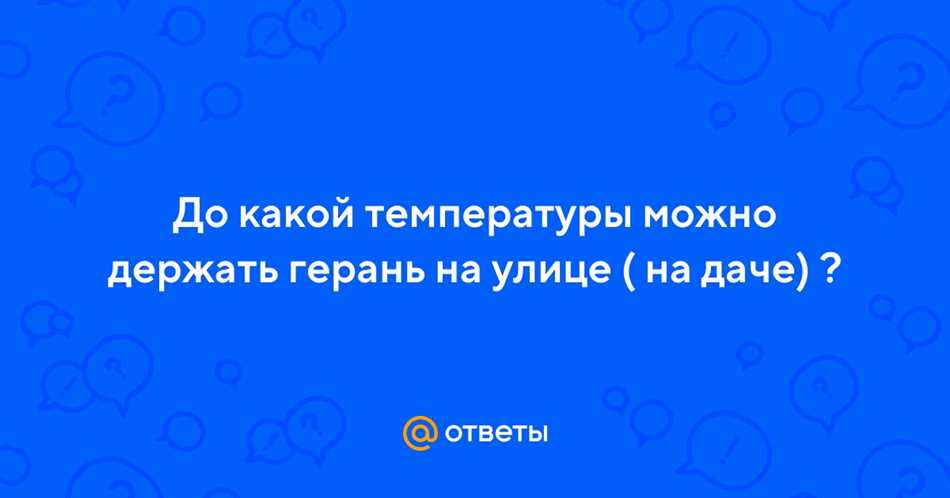 Выдерживаемая температура герани весной