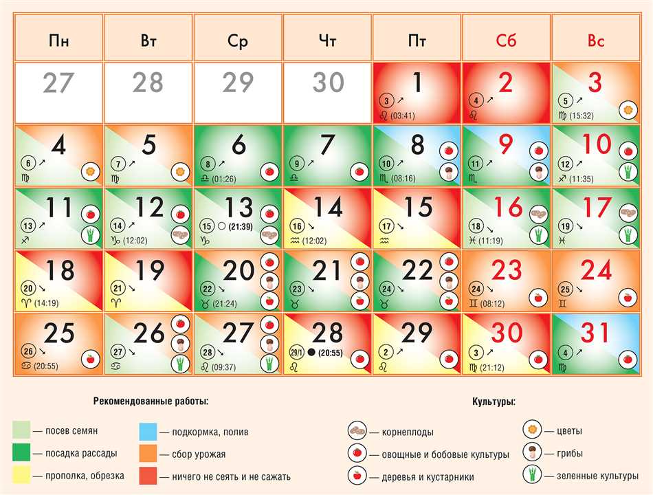 Практические советы для соблюдения лунного календаря в посадке комнатных цветов