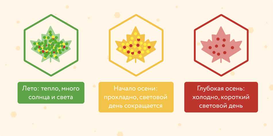 Факторы, влияющие на время начала окрашивания