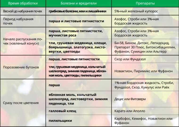 Когда обрабатывать яблони?