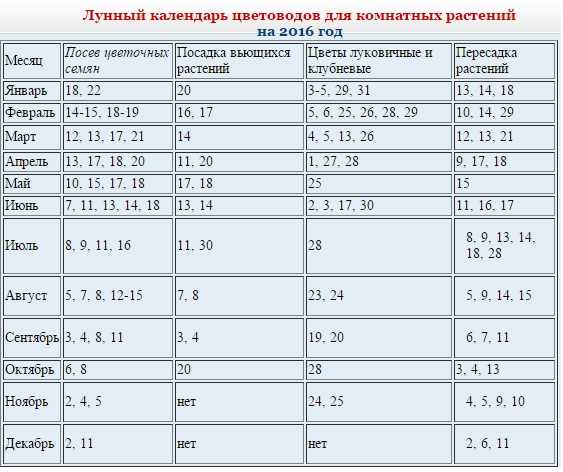 Пересадка вечером: особенности