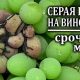 Лучший препарат от серой гнили на винограде: эффективное средство для борьбы с болезнью