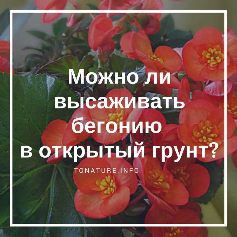 Климатические условия