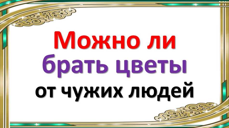 Состояние и видимая забота о цветах