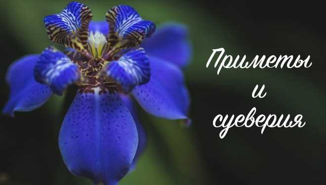 Негативные суеверия