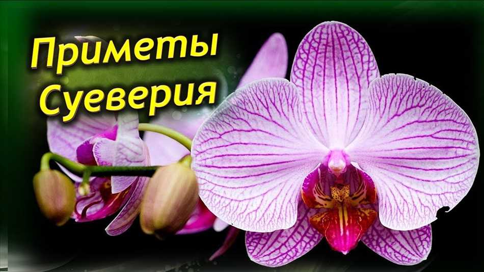Положительные суеверия
