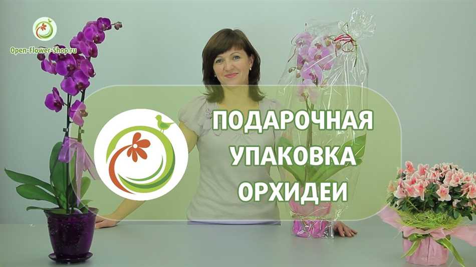 Можно ли дома держать орхидею приметы и суеверия?