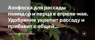 Домашние цветы: можно ли использовать азофоску для подкормки?