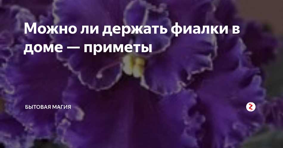 Заключение