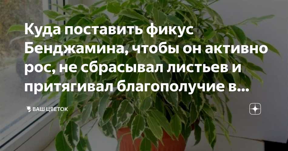 Какие проблемы могут возникнуть при низкой влажности воздуха?