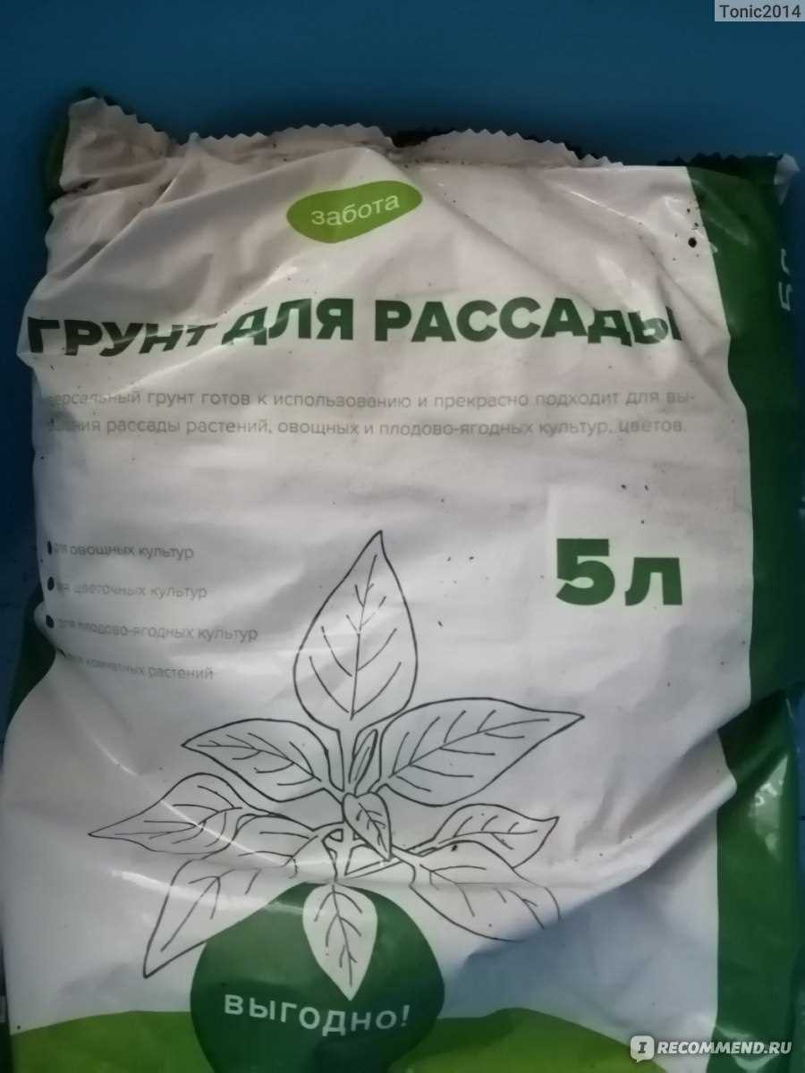 Почему грунт для рассады так важен?