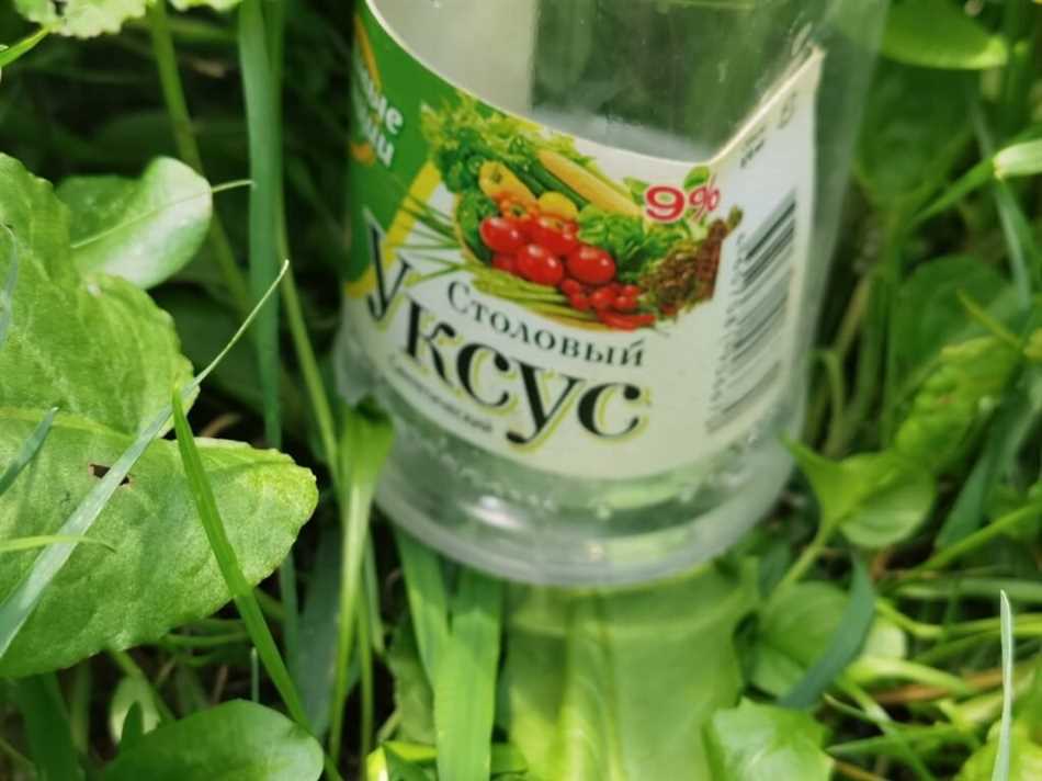 Раздел 4: Другие способы борьбы с вредителями капусты