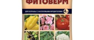 Фитоверм для клубники: действие во время цветения