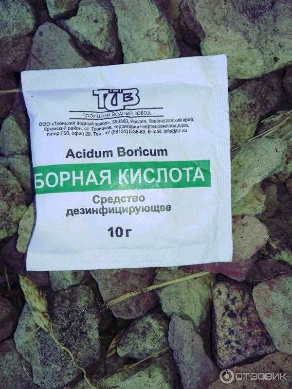 Можно ли опрыскивать капусту борной кислотой от вредителей?