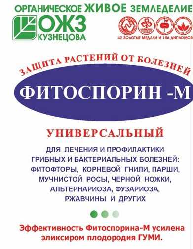 Можно ли опрыскивать капусту фитоспорином от вредителей и болезней?