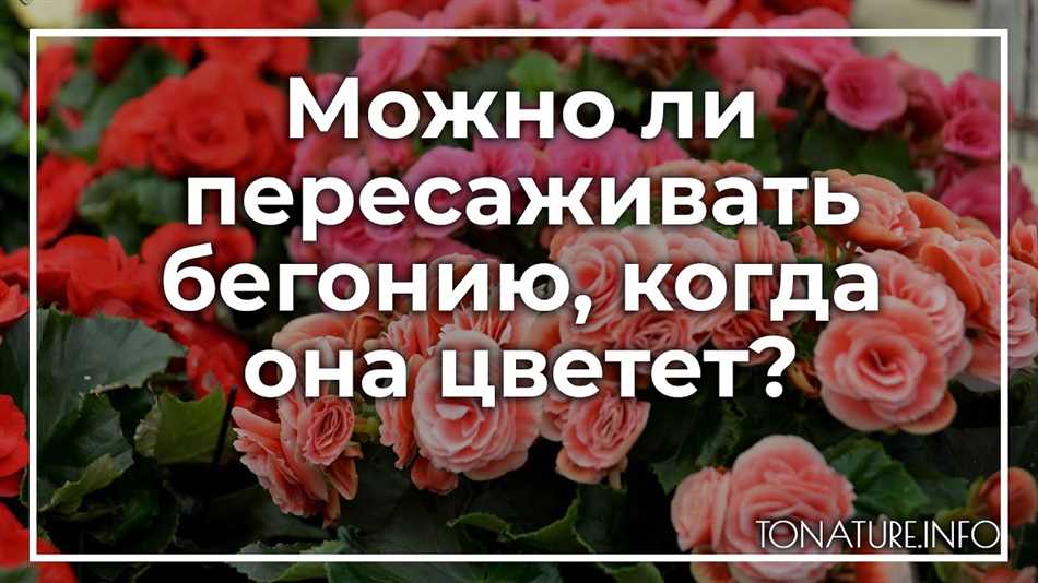 Заключение: