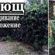 Можно ли сажать плющ во дворе? - советы по ландшафтному дизайну