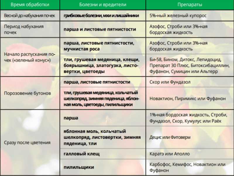 Зачем совмещать препараты от вредителей и болезней растений в огороде летом?