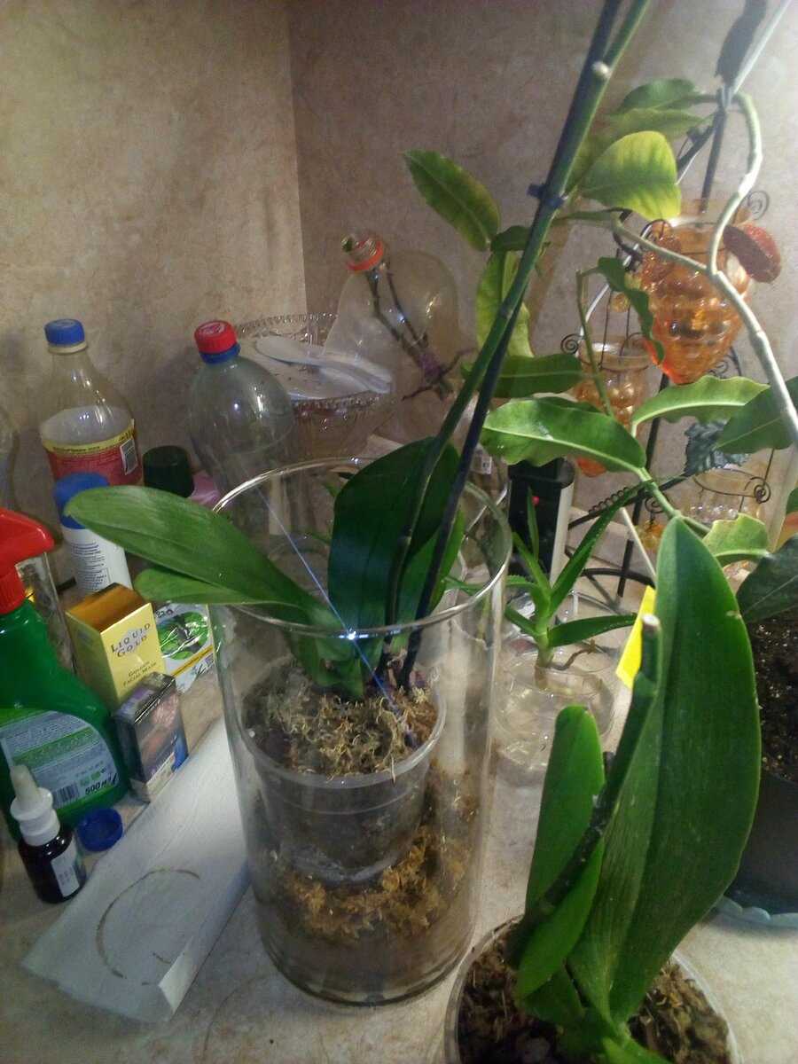 Дополнительные меры