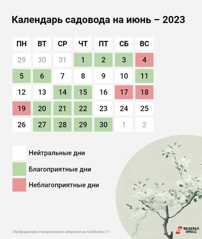 Влияние лунного цикла на рост и развитие кустов