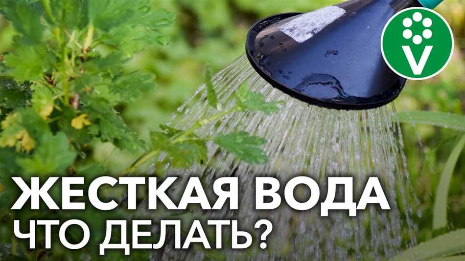 Надо ли отстаивать воду из под крана для полива цветов?