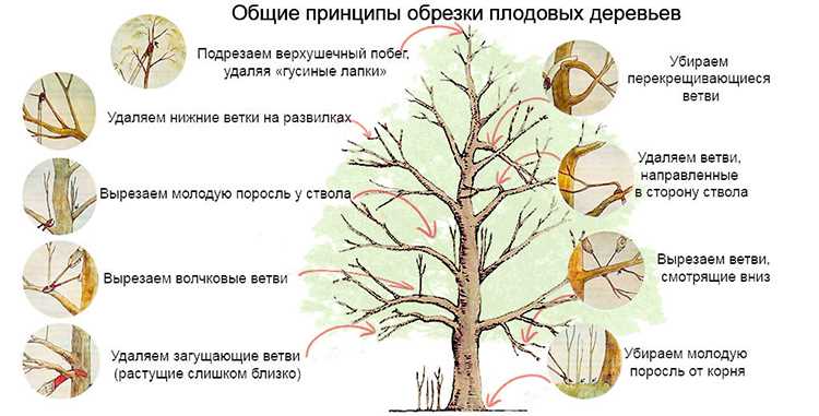 Плюсы замазывания срезов: