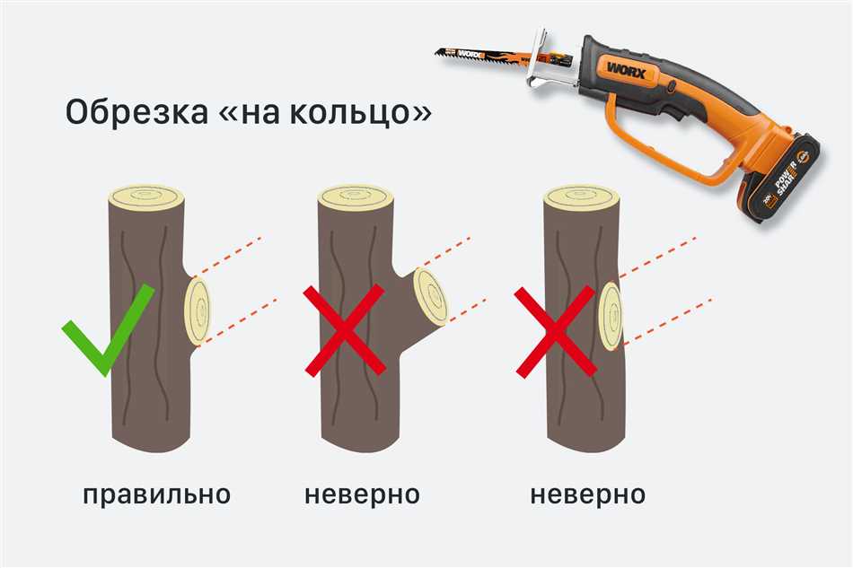 Раздел 3: Плюсы и минусы замазывания срезов