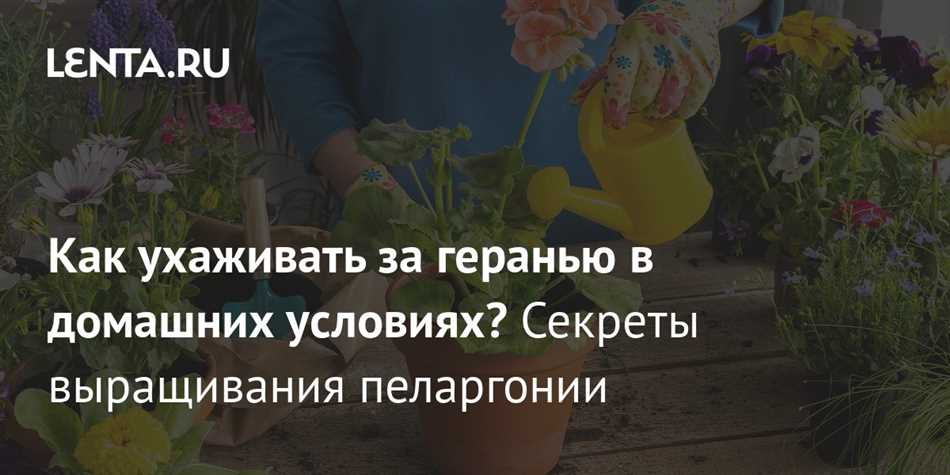 Распространение засохших цветов