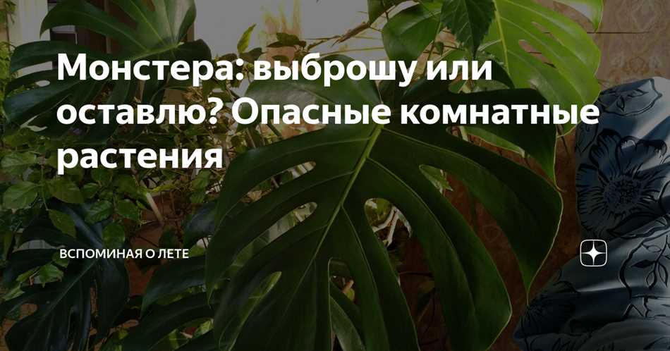 2. Используйте магическое исцеление