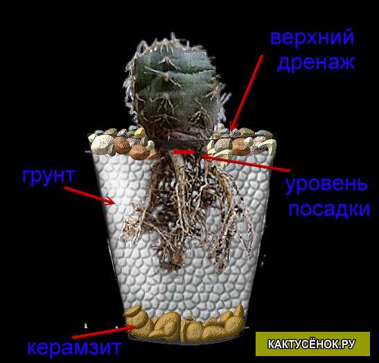 Сколько слоев дренажа ставить?