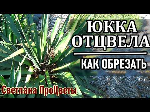 Стилистические преимущества обрезки