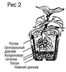 Плюсы и минусы использования дренажа в горшке: что стоит знать?