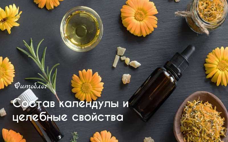 От чего помогает календула?