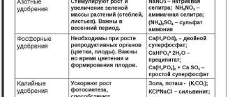 Почему азотные удобрения нужно вносить весной и в первой половине лета? | Советы и рекомендации