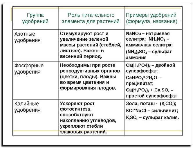 Почему азотные удобрения нужно вносить весной и в первой половине лета?