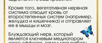 Почему возникают ощущения "бабочек в животе" и как с ними справиться